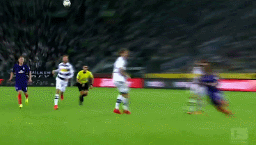 年起为部分 年起为部分