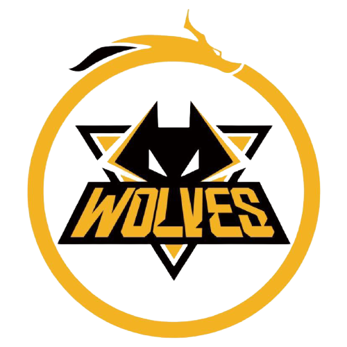 球队稳定进 球队稳定进