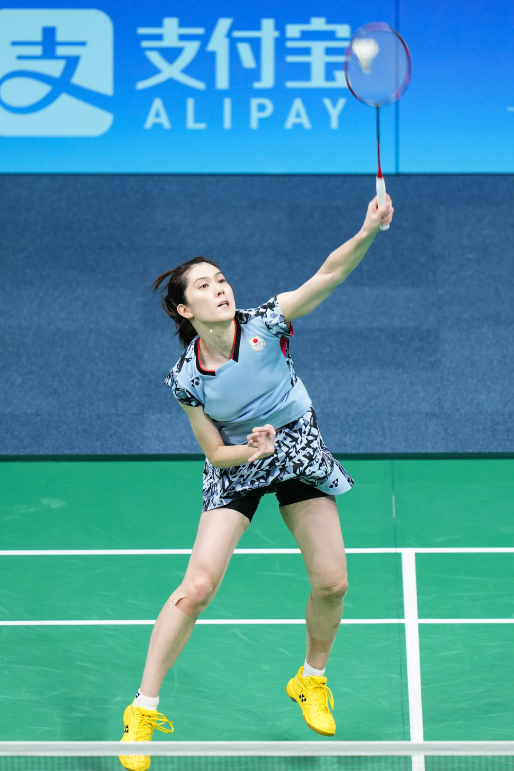 牌建立了合 牌建立了合