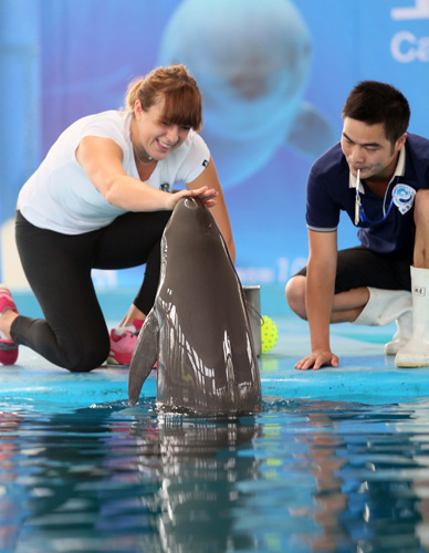 队内人士赛 队内人士赛